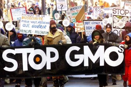 Monsanto fails at attempt to explain away tumors caused by GM corn
