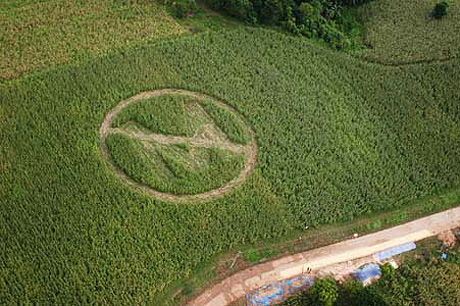 Monsanto found guilty of chemical poisoning in landmark case