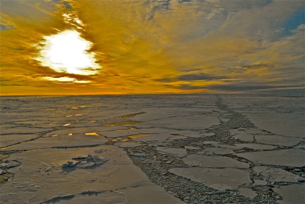 NSF western arctic ocean acidification study
