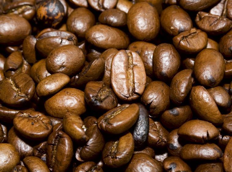 Coffee Arabica could be extinct by the end of the century