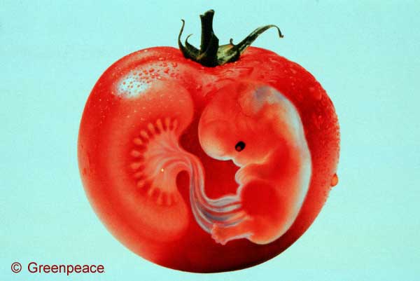 Shocking! Toxic GMO compounds found in nearly 100% of pregnant women and their fetuses
