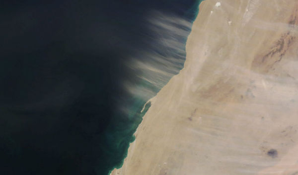Dust over Wad Ad-Dahabnota Peninsula and near Canary Islands