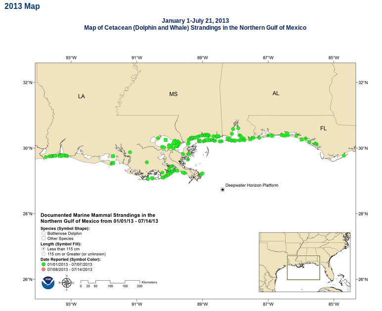 2013 map of cetacean strandings in gulf of mexico