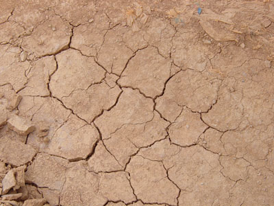 severe-droughts-in-indian-state-of-maharashtra