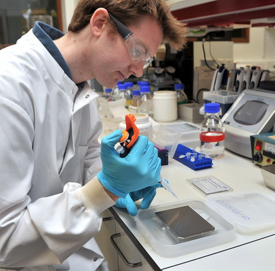 Dr Buckley carrying out the process of collagen fingerprinting to determine which species the bone fragments belong to.Credit: The University of Manchester