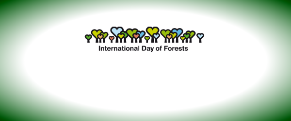 international-day-of-forests-2013