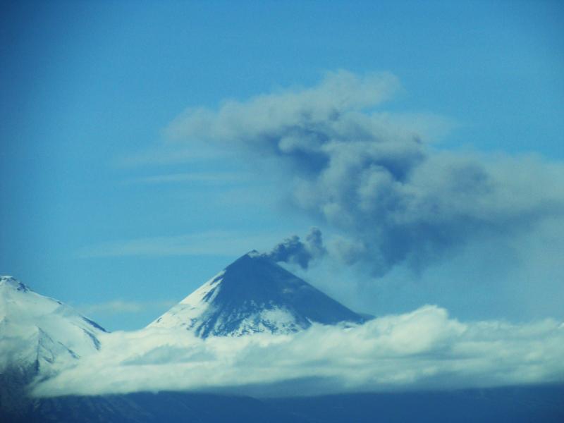 New activity with ash emissions and lava fountaining at Pavlof volcano, Alaska