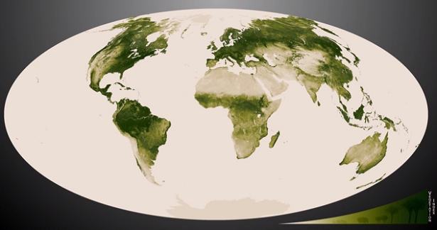 Green: Vegetation on planet Earth