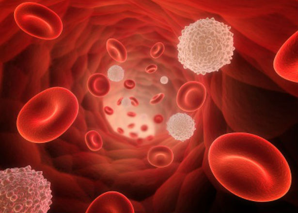 new-study-gmos-linked-to-blood-cell-disorders-leukemia