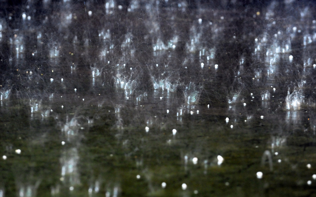 heatwave-and-hailstones-the-size-of-tennis-balls-germany