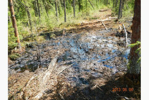 Environmental disaster in Canada – Primrose oilsands site in Alberta unable to stop oil leaking for over nine weeks