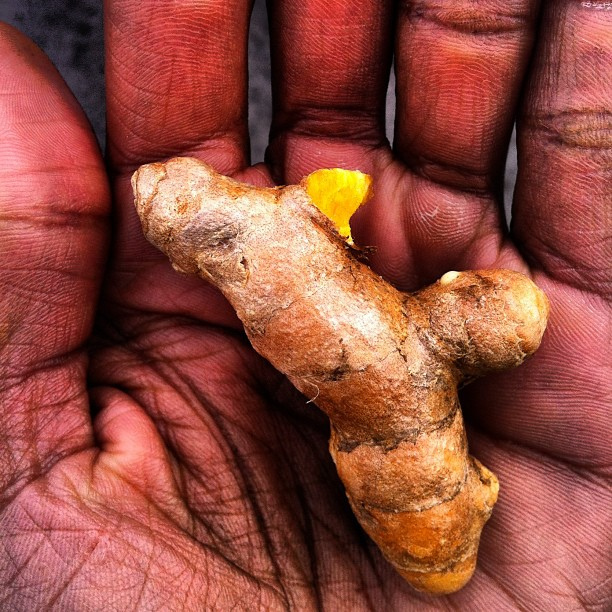 Understanding the phytochemical power of turmeric