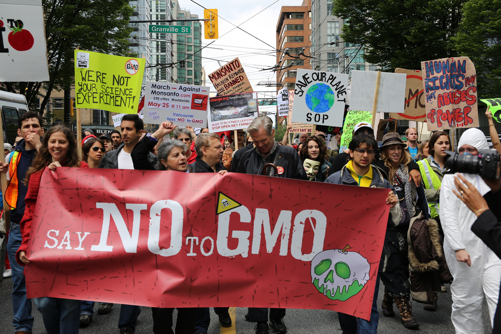 Russia considering total GMO ban
