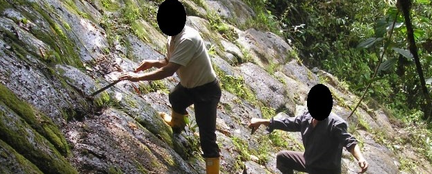 Long lost ancient megalithic pyramid complex located in Ecuador jungles