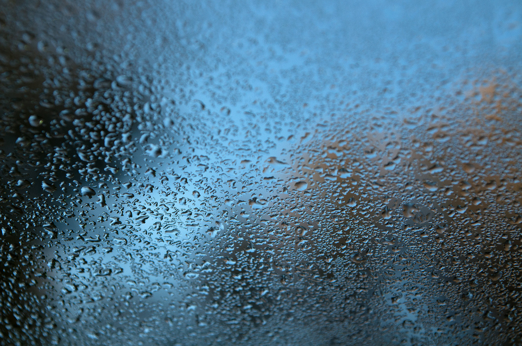 German scientists discover bacteria that make ice, clouds and rain