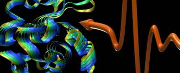 Study finds first conclusive evidence that proteins in human body vibrate in different patterns