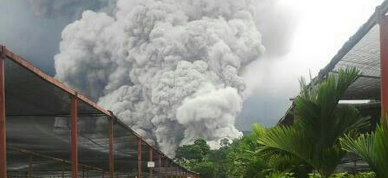 Guatemalan Santa Maria erupts, volcanic ash up to 7.6 km