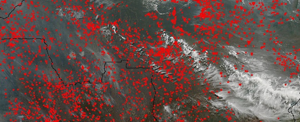 Hundreds of fires covered central Africa in mid-July 2014