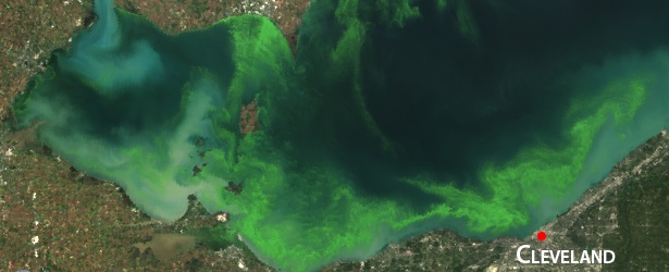 NOAA predicts significant harmful algal bloom in western Lake Erie this summer
