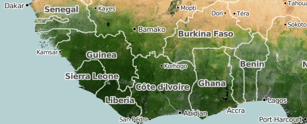 death-toll-from-ebola-outbreak-reaches-603-west-africa