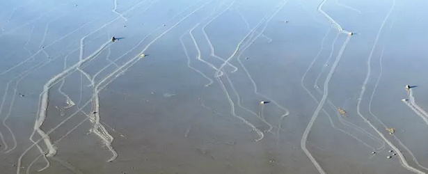Sailing stones of Death Valley mystery solved