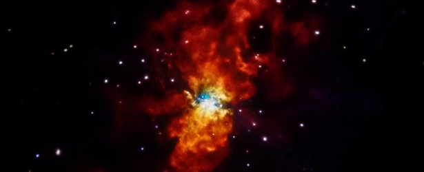 Insight into one of the closest supernovas discovered in decades
