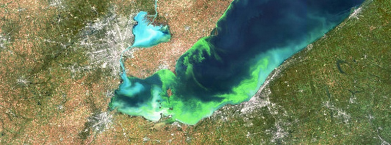​Top weather conditions that amplify Lake Erie algal blooms revealed