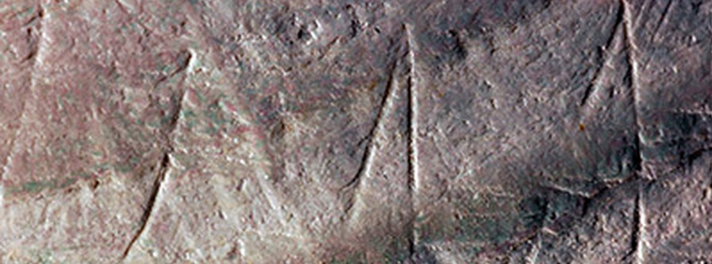Oldest ever engraving discovered on 500 000-year-old shell