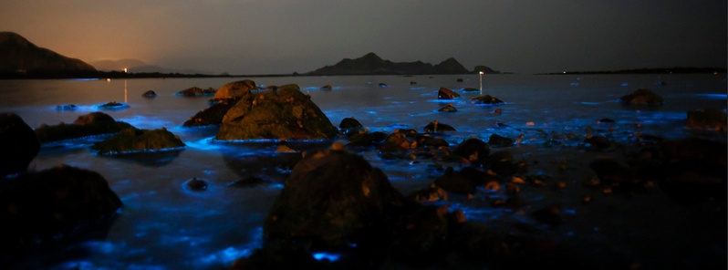 Fluorescent blue, harmful algal bloom along the Hong Kong shores