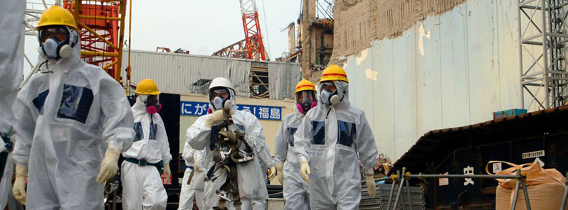 advanced-robotic-arm-to-repair-primary-containment-leaks-at-damaged-fukushima-daiichi-npp