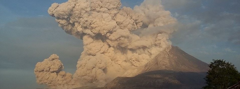 strong-new-eruption-and-large-pyroclastic-flow-from-mount-sinabung-indonesia