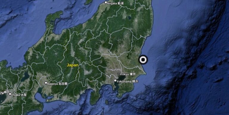 Around 150 dolphins stranded northeast of Tokyo, Japan