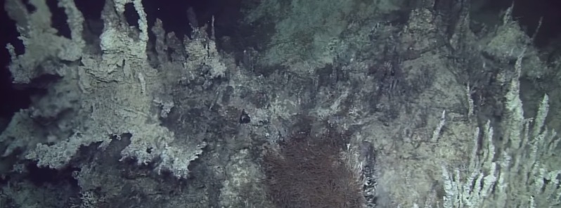 Deepest known high-temperature hydrothermal vents in Pacific Ocean