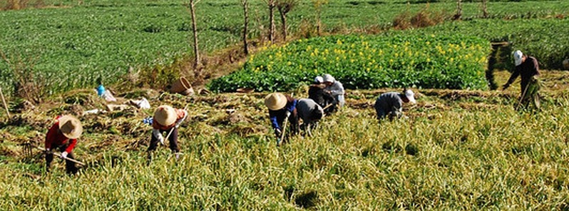 Northern China facing soil drying issues: Increased farming activities a leading cause