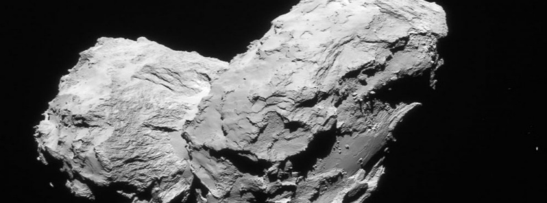 Rosetta’s one year at the Comet 67P/Churyumov–Gerasimenko