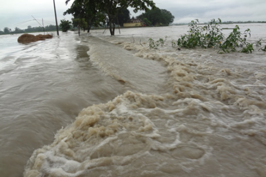 heavy-flooding-hits-india-leaving-18-dead-over-600-000-affected-across-assam