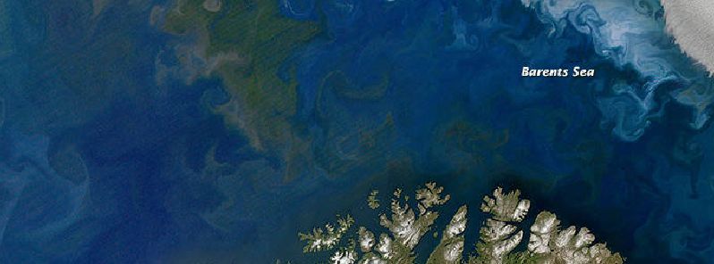 significant-decline-of-oceanic-phytoplankton-detected-across-the-northern-hemisphere