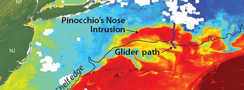 Glider data shows the warm Gulf Stream water intrusions up to 100 meters (328 feet) deep