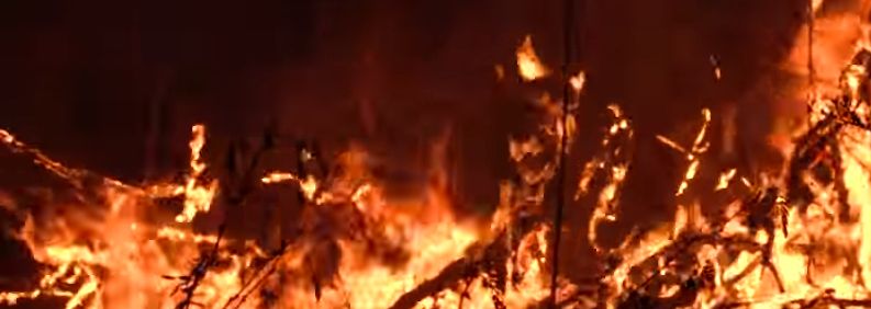 wildfire-raging-across-bastrop-county-texas-state-of-emergency-declared