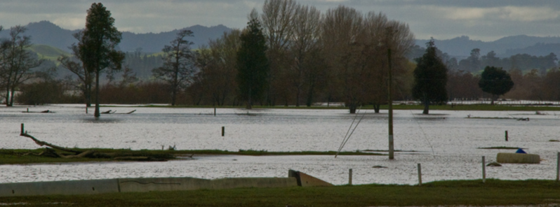 Torrential downpours trigger extensive flooding in Nelson city and Tasman district, New Zealand