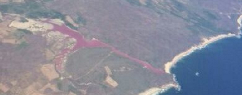 Harmful algal bloom turns La Salina lagoon into blood red, Mexico