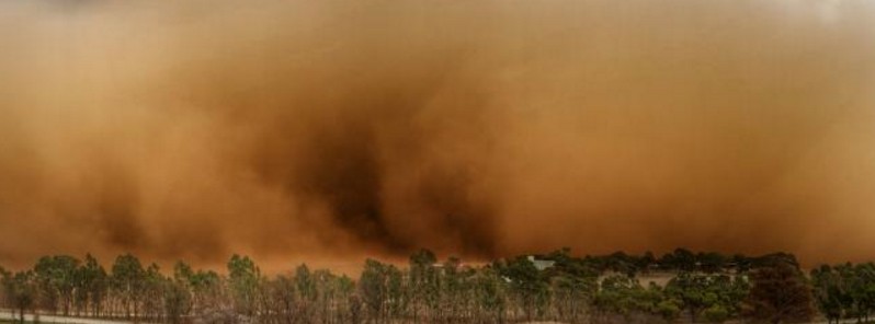 heavy-dust-storm-sweeps-through-south-australia-barossa-valley