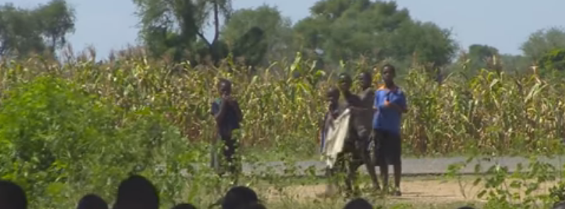 Drought followed by severe food shortage in Malawi