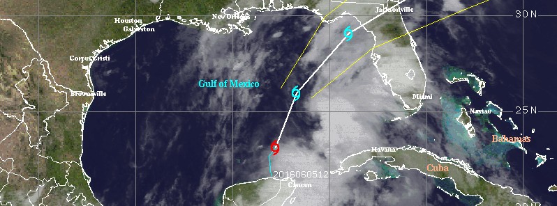 Tropical Storm “Colin” forms in the Gulf of Mexico, heading toward Florida