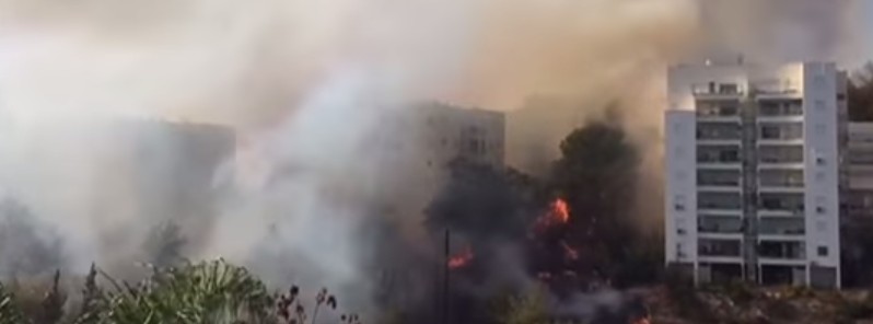 wildfires-israel-november-2016