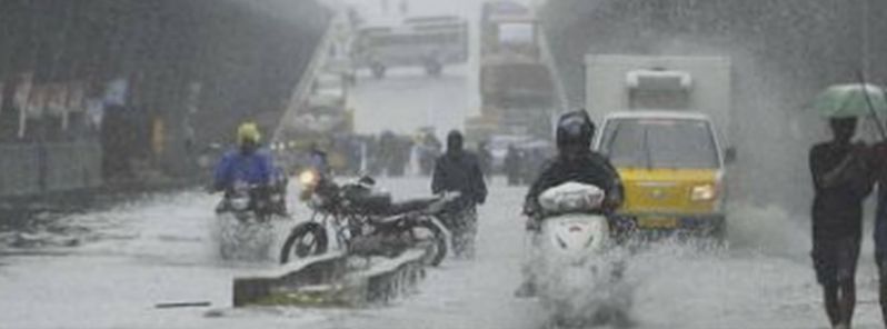 Vardah hits Chennai with unexpected force, 10 people dead