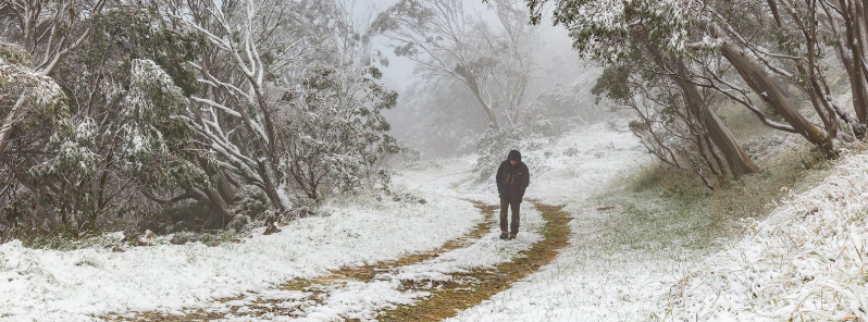 After heatwave, summer snow and coldest February in a decade