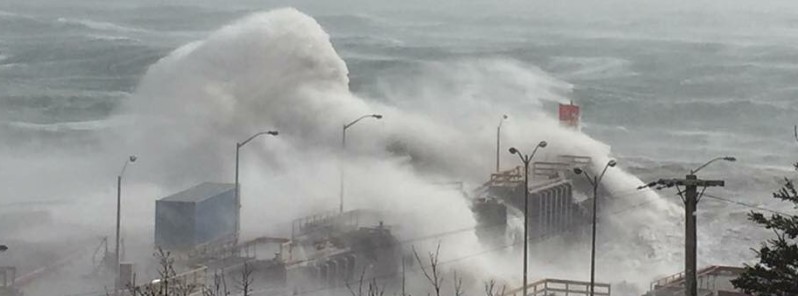 Extreme winds wreak havoc in Newfoundland and Labrador