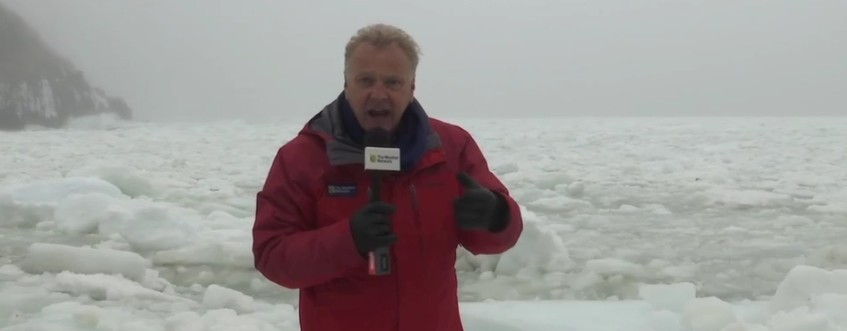 Hurricane force low sends huge chunks of ice into Newfoundland