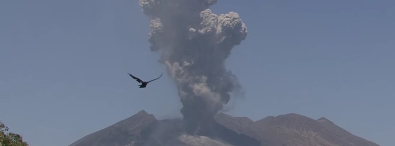 Strong eruption at Sakurajima volcano, ash to 4.3 km (14 000 feet) a.s.l.